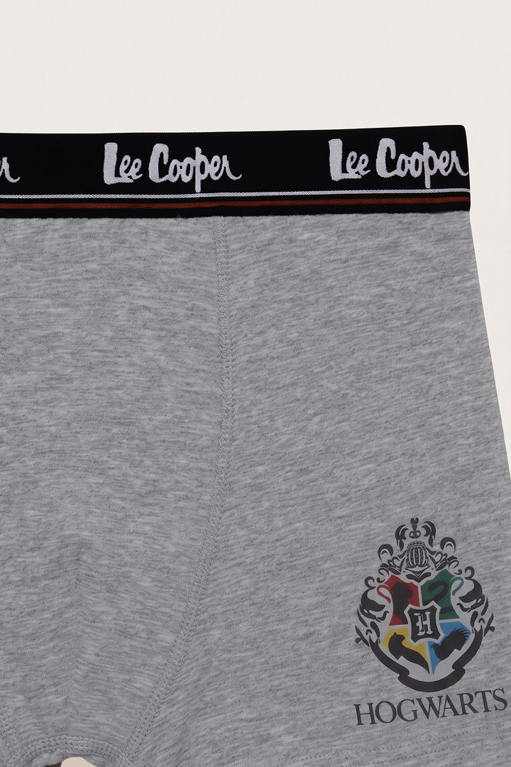 Lee Cooper Boys Harry Potter Trunks (Pack of 3) - Multicolor — image 8